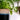 Home & Garden - PERSPECTRY